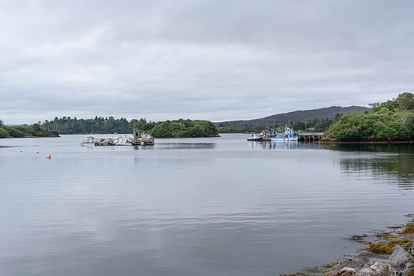 _DSC5389
