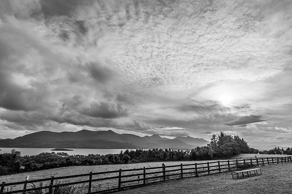 _DSC5246