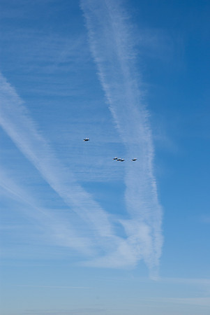 IMGP9564