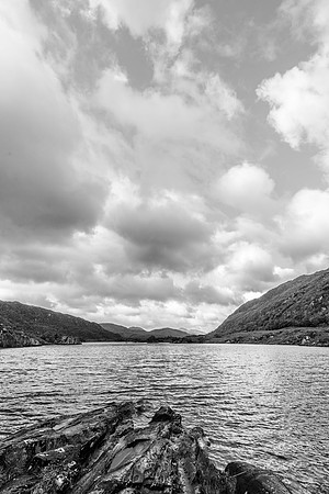 _DSC4809-2