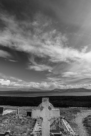_DSC5014