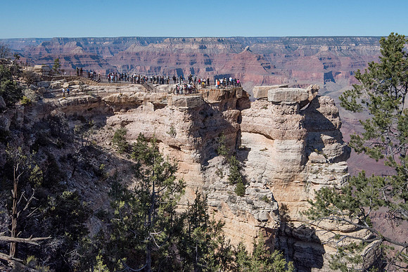_DSC4692