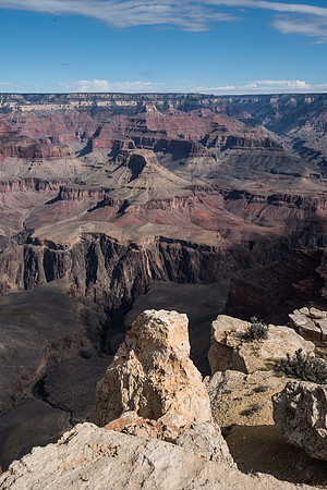 _DSC4888
