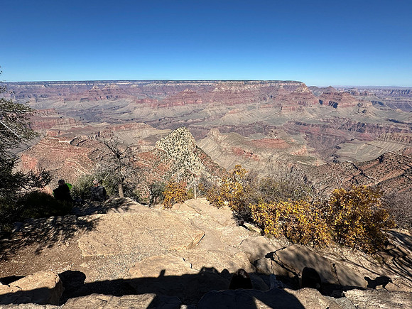 IMG_0130