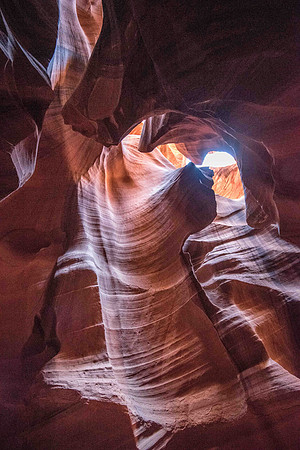 _DSC5137