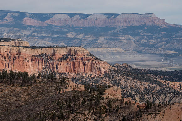_DSC5315