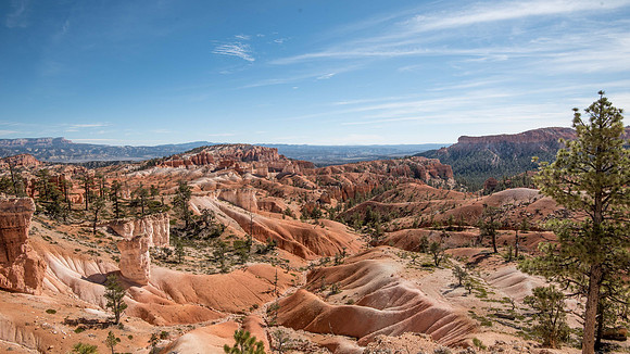 _DSC5515