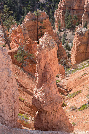 _DSC5555