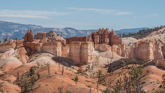 _DSC5565