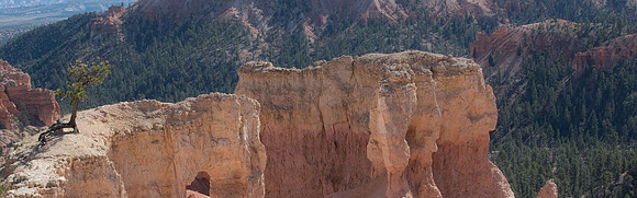 _DSC5659