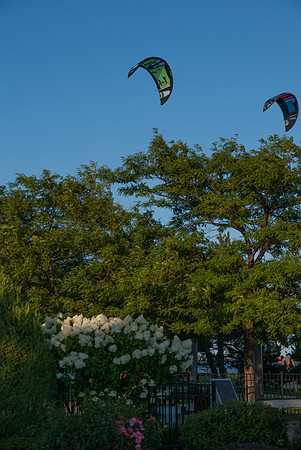 IMGP7540