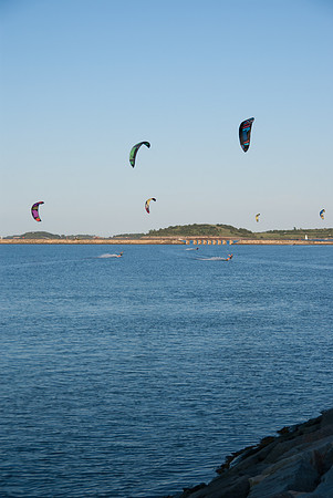 IMGP7726
