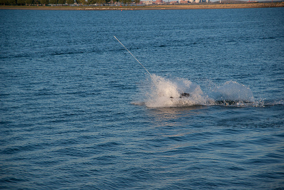 IMGP8023
