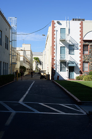 DSC_2230
