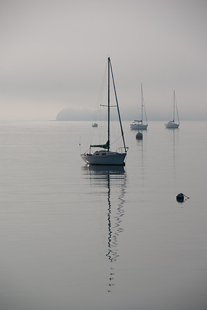 IMGP6212