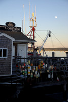 Coastal New England - Plymouth