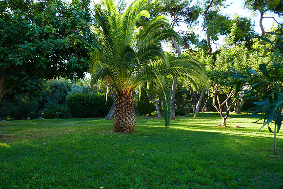 P1000396