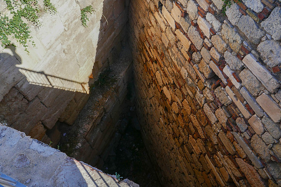 P1000501