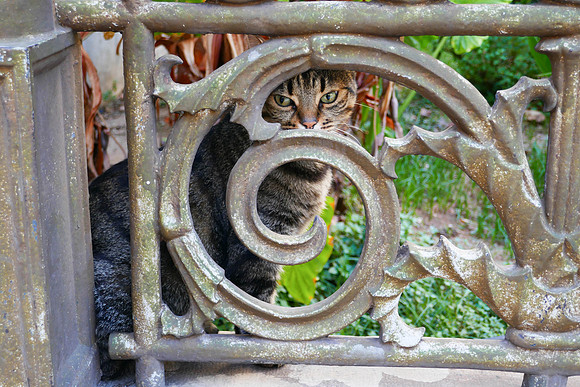 P1000356