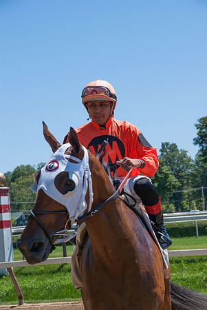 IMGP1158