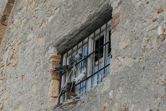 P1010422