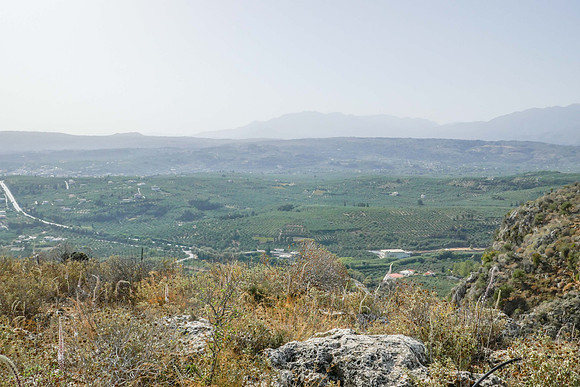 P1010499