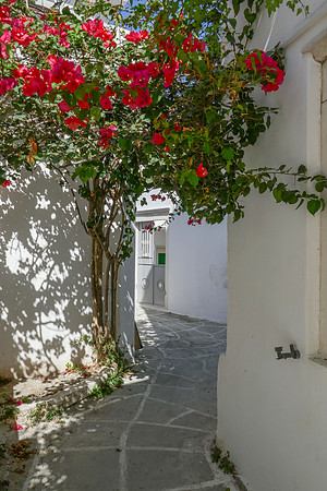 P1000809