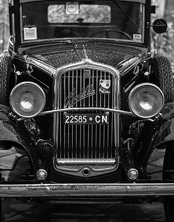 _DSC7155