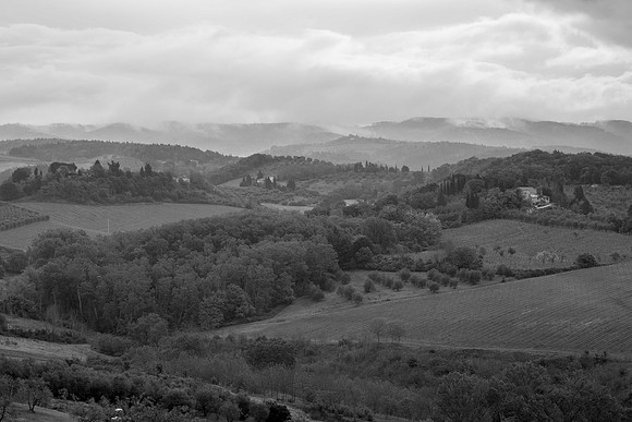 _DSC7199