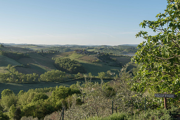 _DSC5812