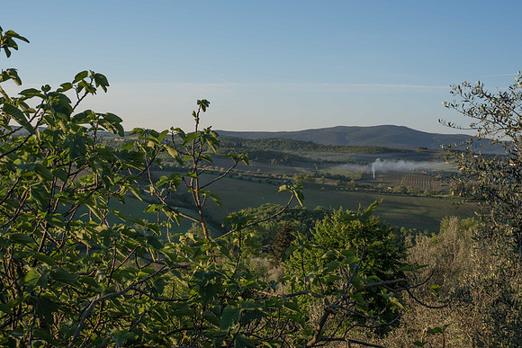 _DSC5714