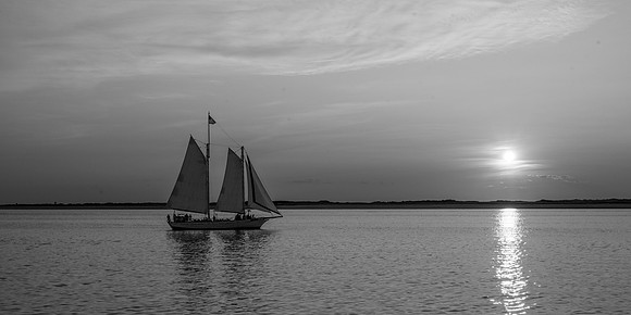 _DSC0569