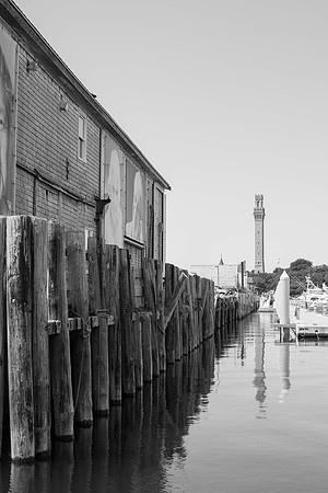 _DSC0462
