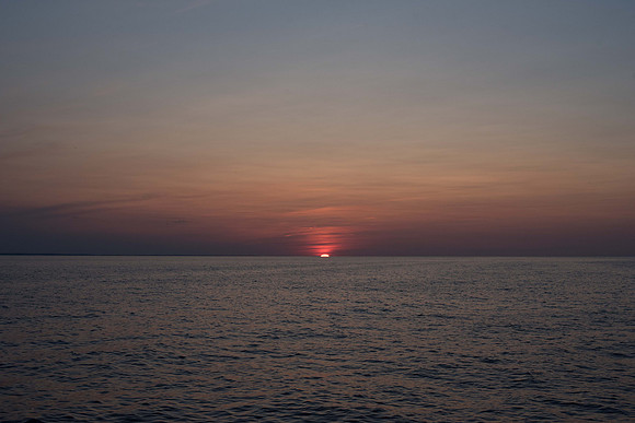_DSC0730