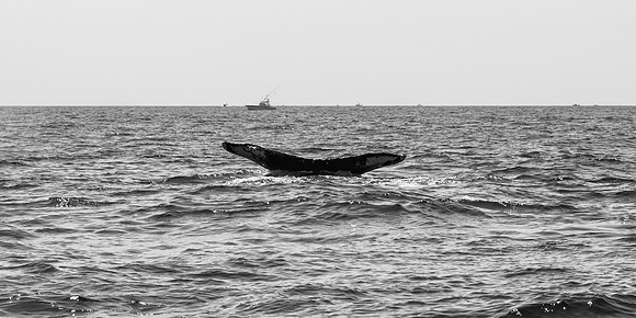 _DSC0270