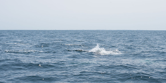 _DSC0177