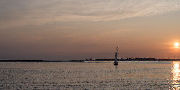 _DSC0543