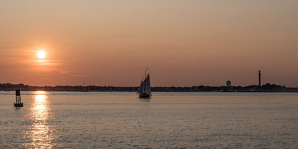 _DSC0547