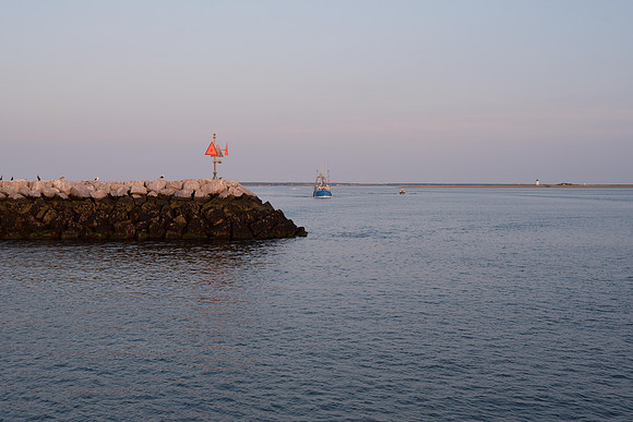 _DSC0533