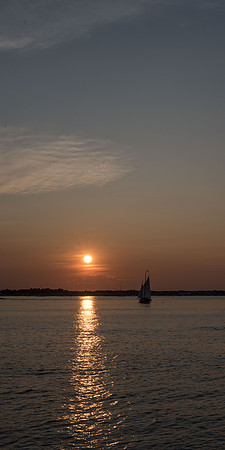_DSC0545