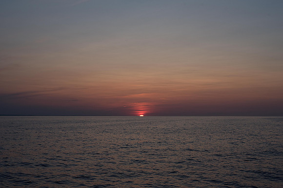 _DSC0731