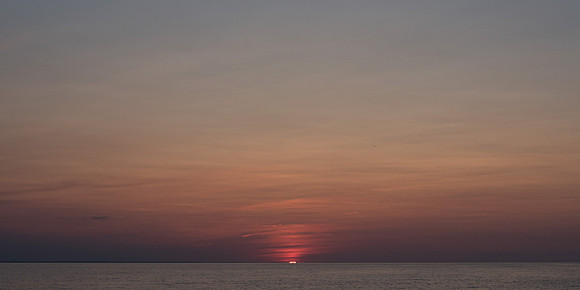 _DSC0748