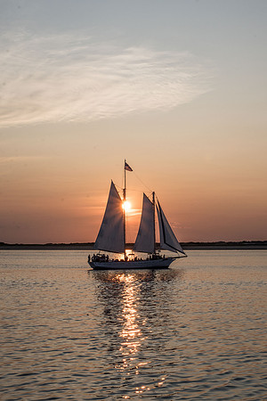 _DSC0579