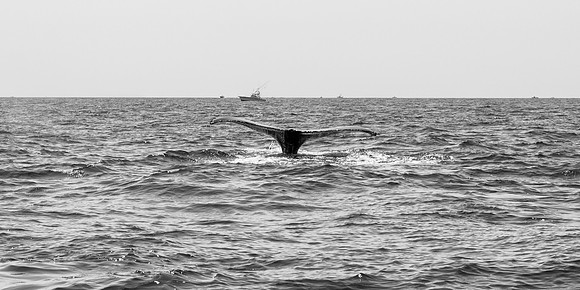 _DSC0269