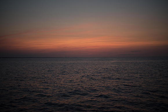 _DSC0779