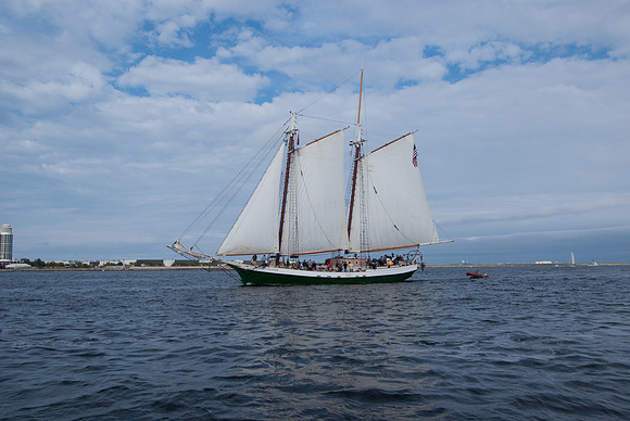 IMGP8684