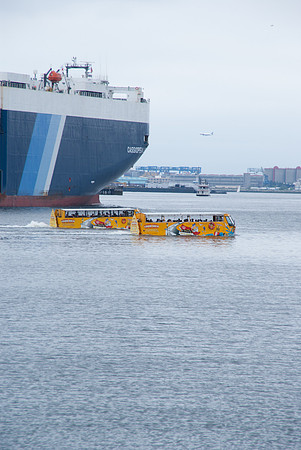 IMGP8372