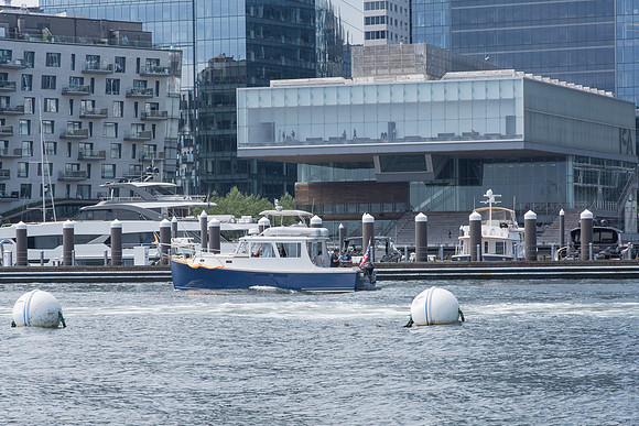 _DSC2815