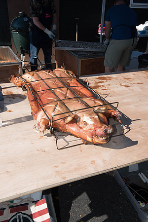 _DSC6436