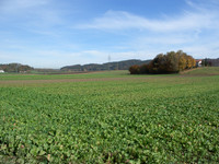 Germany - Grafing